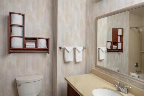 a bathroom with a toilet and a sink and a mirror at Hampton Inn Austin Oak Hill in Austin