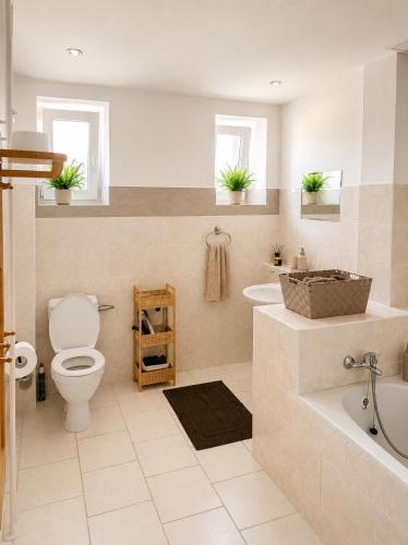 a bathroom with a toilet and a tub and a sink at Soukromý apartmán s vlastním vstupem in Nová Ves