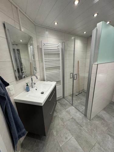 a bathroom with a sink and a shower at Brokeloh - Hier bin ich zuhause ! in Landesbergen