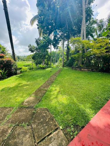 a garden with a grass field and palm trees at La Olive Villa 