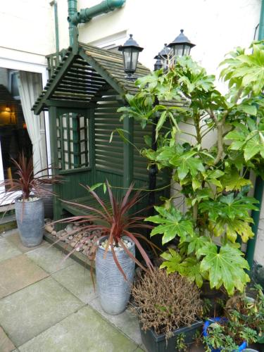 a group of plants in pots in front of a building at Abbey Court Guest House in Carlisle