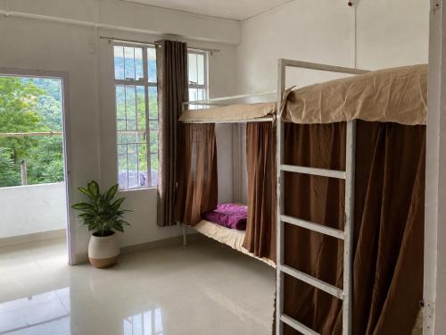 a room with two bunk beds and a potted plant at Naga Hills Backpacker Hostel in Kohīma