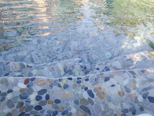 a pool of clear water with rocks in it at Gîte Lavande - Le Jardin Secret du Ventoux in Modène