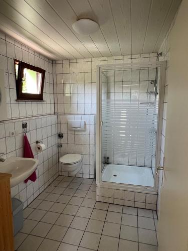 a bathroom with a shower and a toilet and a sink at Kleines grünes Gästehaus in Altenbeken