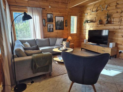a living room with a couch and a television at Ilvesrinne - Cosy Fell-Side Cottage in Iso-Syöte in Syöte