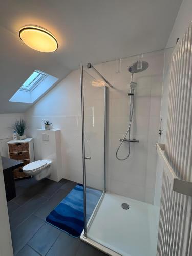 a bathroom with a shower and a toilet and a sink at Ferienwohnung Bauernhof Rohde in Gremersdorf