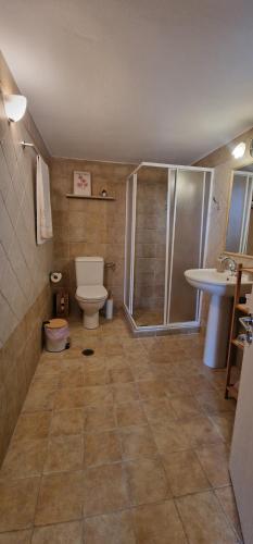a bathroom with a shower and a toilet and a sink at Olive Stonehouse Sea and Mountain View in Áyios Míron