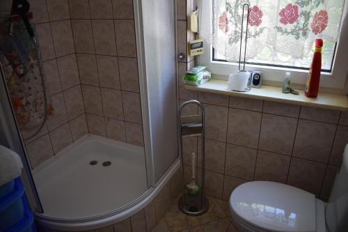 a bathroom with a shower and a toilet and a window at Tiha Varoš in Varoš