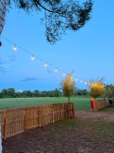 a fence with a string of lights in a field at Taverna e liqenit in Shtoji i Vjetër