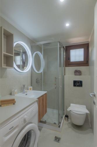 a bathroom with a shower and a toilet and a sink at Millstone Summerhouse in Pachis