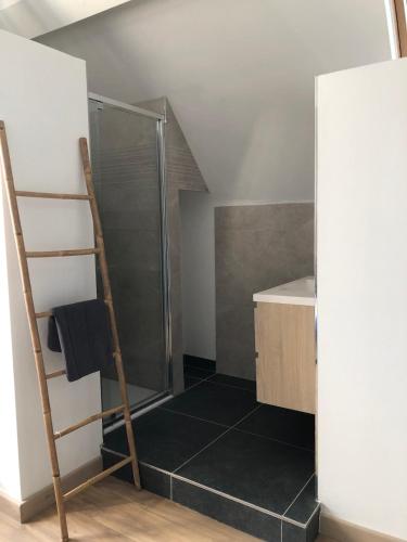 a bathroom with a shower and a ladder at Spacious apartment in an authentic Mansion in Brussels
