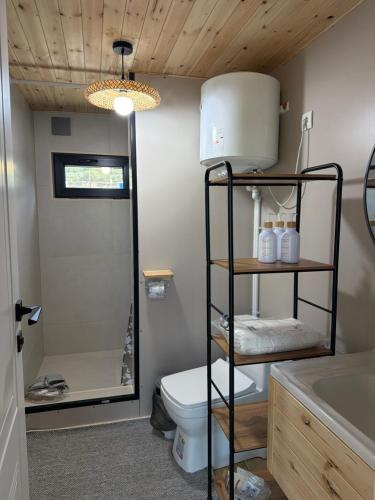 a bathroom with a toilet and a sink at ALAU villas in Saty