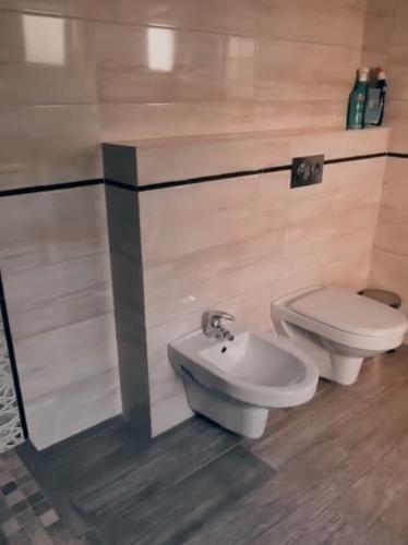 a bathroom with a toilet and a bidet at Bungalow Ildy House in Sînmartin