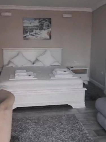 Gallery image of Bungalow Ildy House in Sînmartin