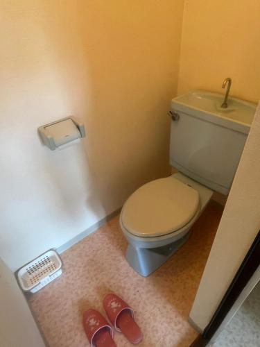 a bathroom with a toilet and two pairs of shoes at 海岸道路沿い 磯の宿 in Minamiboso