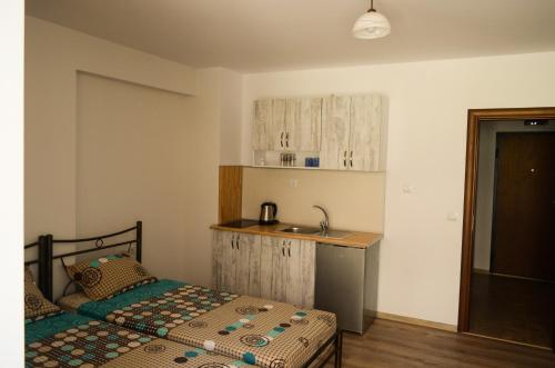 a bedroom with a bed and a sink in it at Main Street Apartment in Sandanski