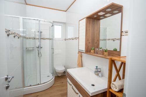 a bathroom with a shower and a toilet and a sink at Beachfront Reiterer Villa V2 with Seaview 30 meters from the Beach - CROWONDER LUXURY RENT in Privlaka