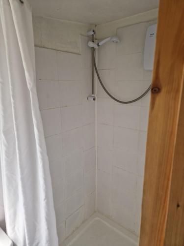 a bathroom with a shower with a shower curtain at The Cabin - a very quiet location in Pewsey