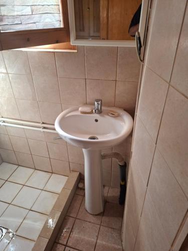 a bathroom with a white sink in a room at Mateva vikendica in Berane