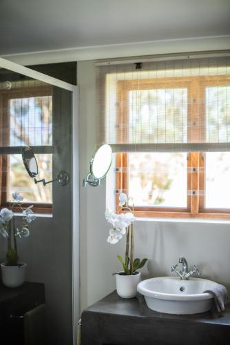 a bathroom with a sink and a window at Landmeterskop in Stanford