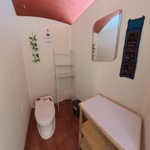 a small bathroom with a toilet and a sink at Islas Chimu in Puno