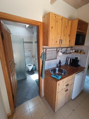 a small kitchen with a sink and a toilet at הקן לציפורים נודדות in Rosh Pinna