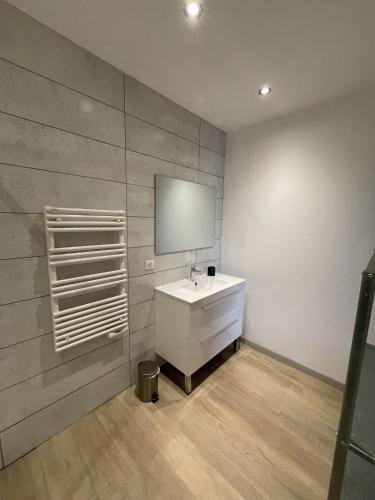 a bathroom with a white sink and a mirror at duplex confort Le pre marty in Albepierre-Bredons