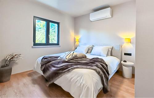 Luxurious Home In Labin