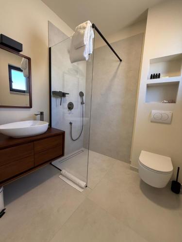 a bathroom with a shower and a toilet and a sink at Villa Artemis III in Žman
