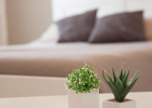 two plants on a table in a room with a bed at Bianco Sale Trapani in Rilievo