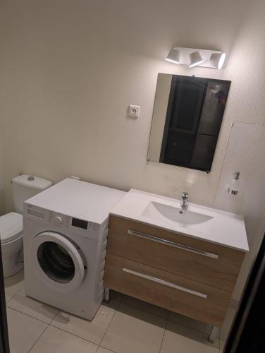 a bathroom with a washing machine and a sink at Le grenier à sel, Chaleureux 2 Chambres-Centre-Gare in Reims
