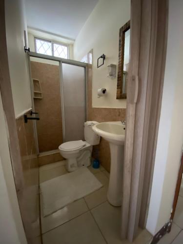 a bathroom with a toilet and a shower and a sink at BlackPoint in Ballenita