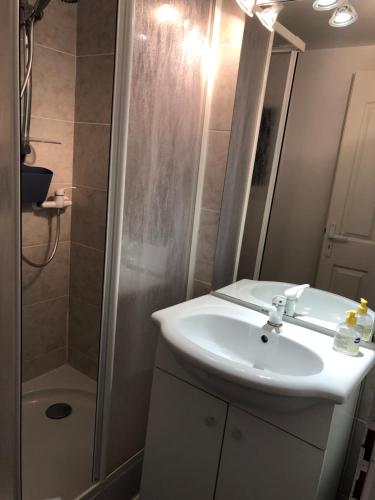 a bathroom with a sink and a shower at Gîte Apaisant in Llauro