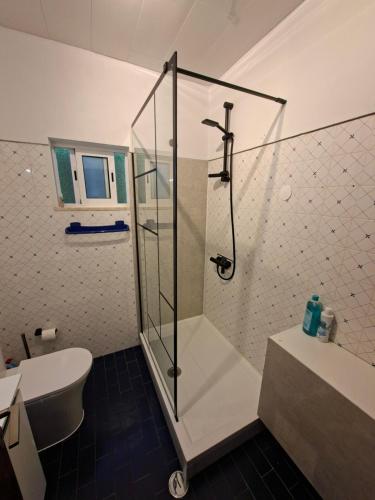 a bathroom with a shower and a toilet and a sink at Casa Svancy in Lagoa