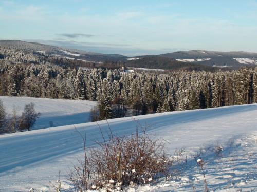 a snow covered field with trees in the distance at Srub Javorná - apartmány Šumava in Javorná