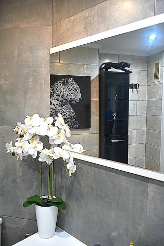 Apartamento Sol Sofía