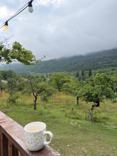 a cup of coffee sitting on a wooden railing overlooking a field at Skyla Glamping in Ambrolauri