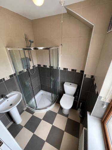 a bathroom with a shower and a toilet and a sink at 28 Rathevan View Rosdarragh Portlaoise in Portlaoise
