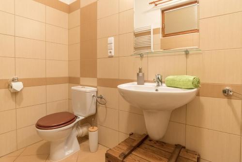 a bathroom with a toilet and a sink at Apartment Sirius C in center of CB. in České Budějovice