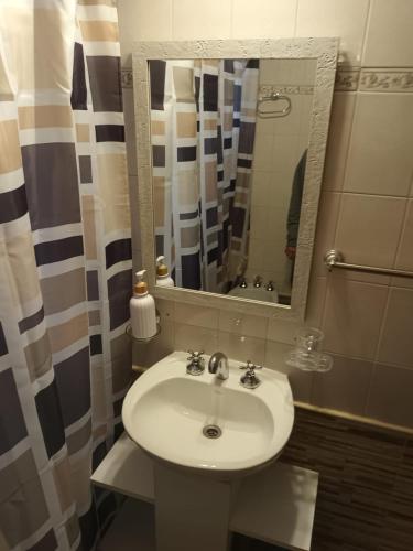 a bathroom with a white sink and a mirror at Monoambiente Osvaldo in Neuquén