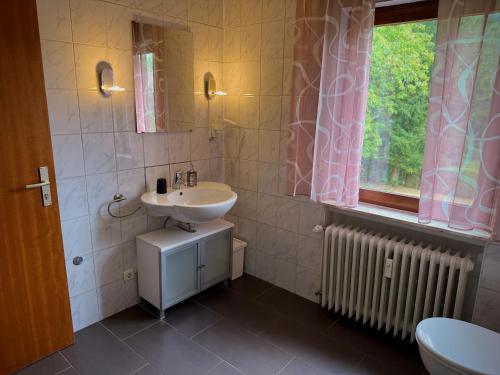 a bathroom with a sink and a toilet and a window at Frankenstube in Eichelsdorf