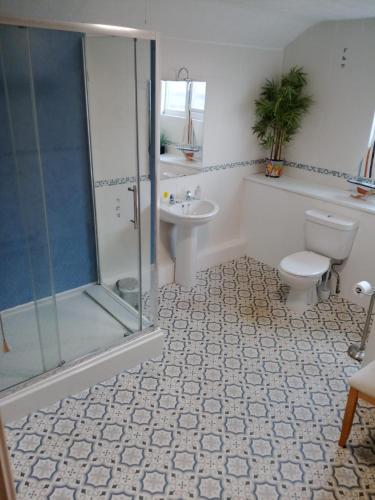 a bathroom with a shower and a toilet and a sink at Fox and Hounds Apartment in Willingham