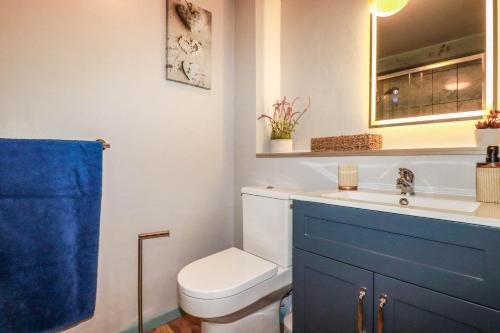 a bathroom with a toilet and a sink and a blue cabinet at Skylark in Liskeard