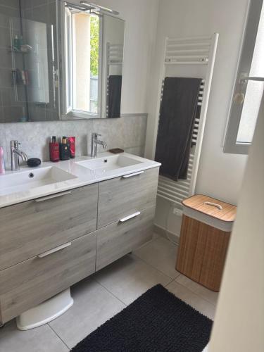 a bathroom with a large sink and a shower at L appart in Joué-lès-Tours
