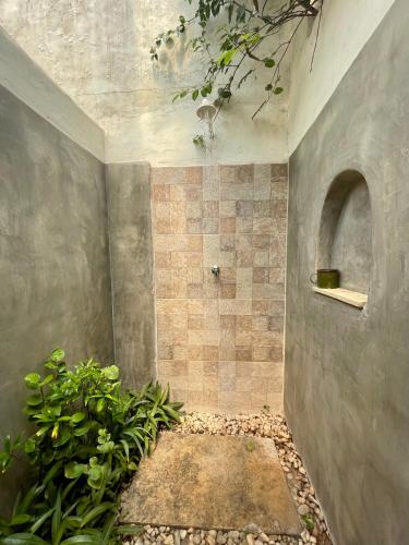 a bathroom with a shower with a plant at Vila Prana in Barra Grande