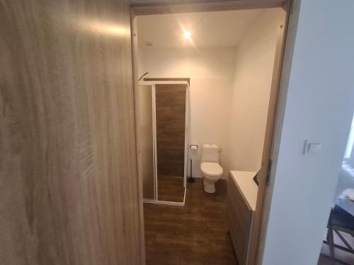 a small bathroom with a toilet and a shower at DOMEK na górce u Celiny in Dargobądz
