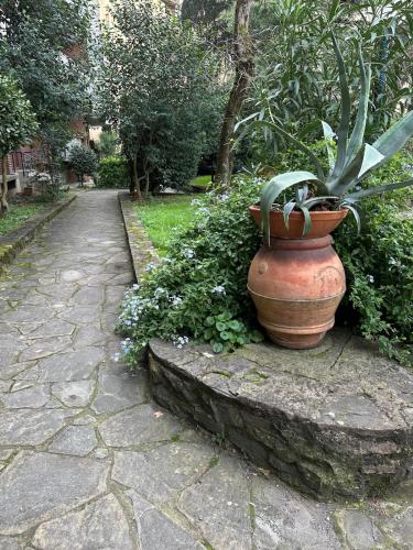 Francys' house - Careggi - con posto auto