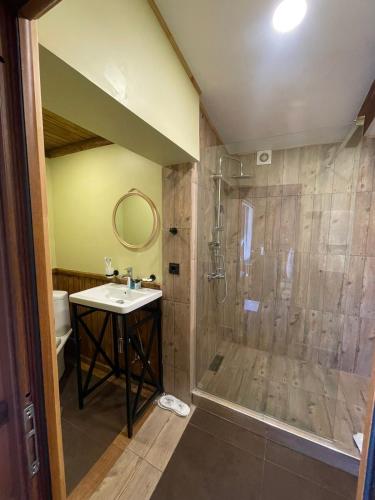 a bathroom with a shower and a sink at Dilijan Tun Boutique Hotel in Dilijan