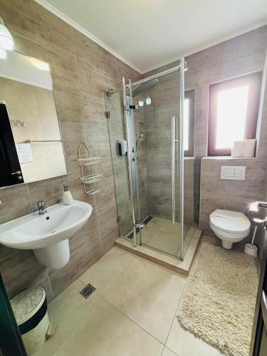a bathroom with a shower and a sink and a toilet at PENSIUNEA TEOMIR in Pojorâta