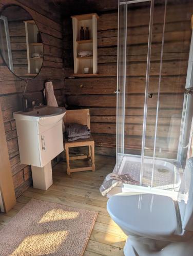a bathroom with a toilet and a sink at Kolsta Gård 